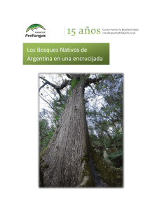 Los Bosques Nativos de Argentina en una encrucijada