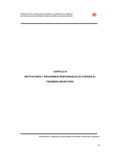 43 CAPÍTULO III INSTITUCIONES Y ORGANISMOS