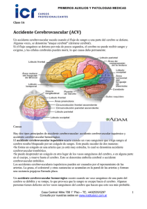 Accidente Cerebrovascular (ACV)