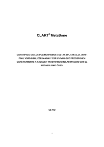 Manual CA MetaBone v3 castellano