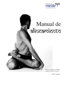 ManualdeAlineamiento2016