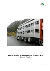 Guia de Buenas Prácticas para el Transporte de Ganado Porcino