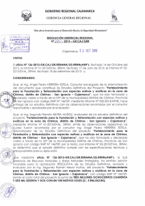 xfk fild 397 - Gobierno Regional Cajamarca