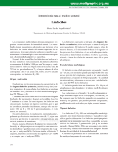 Linfocitos - E-journal