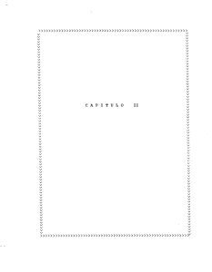 658.81-C186d-CAPITULO II