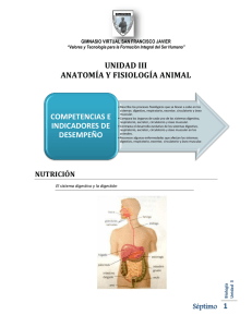 Unidad_III_Anatomia_y_Fisiologia_animal