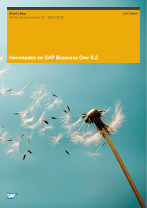 Novedades en SAP Business One 9.2
