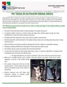 pet dogs in outdoor dining areas