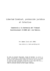 Libertad Sindical, protección jurídica al Colectivo