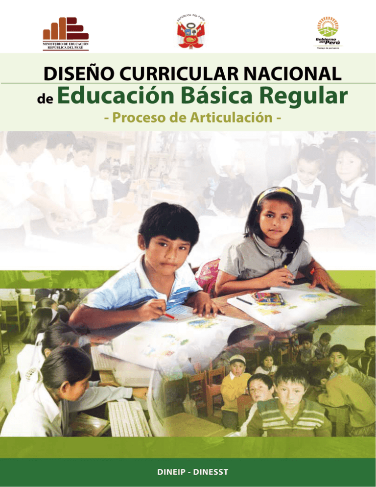 Dise O Curricular Nacional De Educaci N B Sica Regular