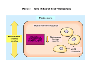 Módulo 4 – Tema 14: Excitabilidad y Homeostasis Medio externo