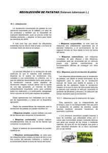 RECOLECCIÓN DE PATATAS (Solanum tuberosum L.)
