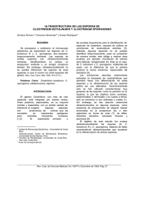 Clostrium Botulinum B y Clostridum Sporogenes.