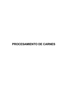PROCESAMIENTO DE CARNES