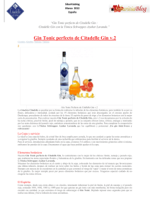 Gin Tonic perfecto de Citadelle Gin v.2