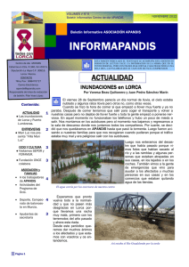 Boletín Informapandis Noviembre 2012