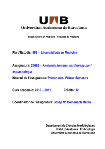 29068 - Anatomia humana - Universitat Autònoma de Barcelona