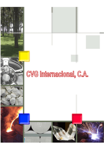 CVG Internacional, CA Marco Normativo Institucional