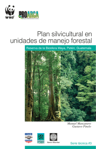 Plan silvicultural en unidades de manejo forestal