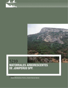 5210 MaTorrales arborescenTes De JUNIPERUS spp