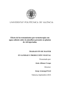 Efecto de los tratamientos por termoterapia con agua caliente sobre