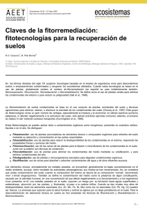 Claves de la fitorremediación: fitotecnologías para la recuperación