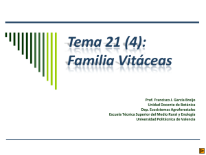 Familia Vitáceas - Escuela Técnica superior de Ingeniería
