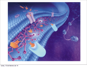 10-membranas bioloÌ gicas