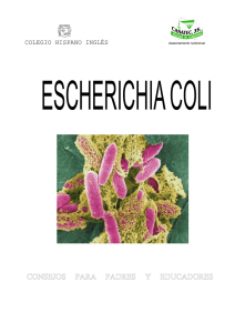 La bacteria escherichia coli