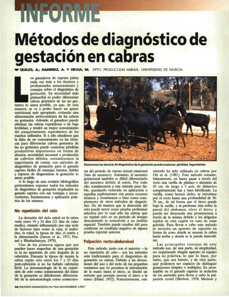 Métodos De Diagnóstico De La Gestación En Cabras