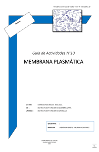membrana plasmática - Colegio Monte de Asís