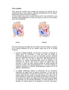 Ciclo cardiaco - Uruguay Educa