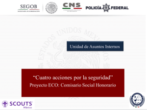 CNS 4 Acciones Comisario Social Honorario 2016
