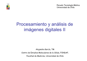 Procesamiento y análisis de imágenes digitales II