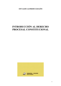 Introducción al derecho procesal constitucional