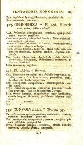 377. OPHIORHIZA. f FI. zeyl. Mitreola edit, prior. Mitra Hmjì. 378