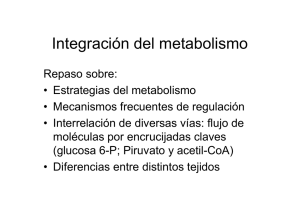 Integración del metabolismo