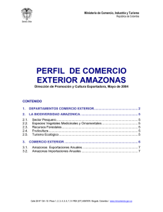 PERFIL DE COMERCIO EXTERIOR AMAZONAS