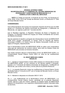 mercosur/gmc/res. n° 05/11
