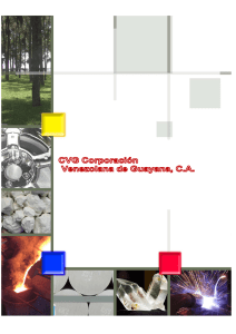 Corporación Venezolana de Guayana, CA (CVG)