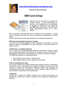SIM Card (Chip)