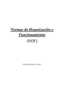 Normas de Organización y Funcionamiento (NOF)