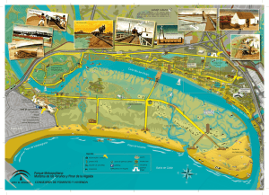 Mapa-guía del Parque Metropolitano Marisma de Los Toruños y