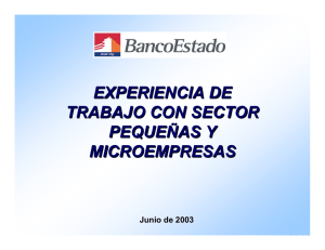 documento apoyo gerente Banca Microempresas