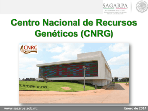 Centro Nacional de Recursos Genéticos