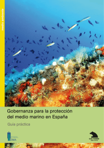 Gobernanza para la protección del medio marino en España: guía
