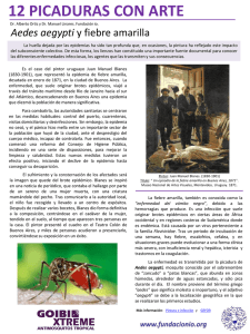 Aedes aegypti y fiebre amarilla