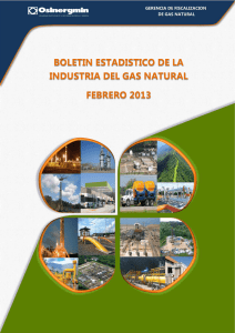 boletin estadistico de la industria del gas natural febrero 2013