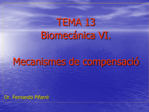 Tema 13. Biomecánica VI. Mecanismos de compensación