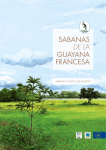 sabanas de La Guayana francesa